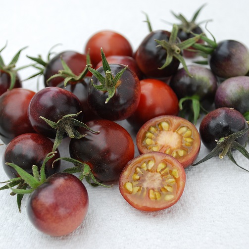 Tomato Indigo Blue Berries